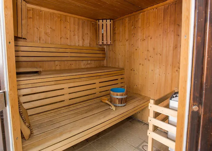 Lägenhetshotell O - Sancy De Tourisme 3*