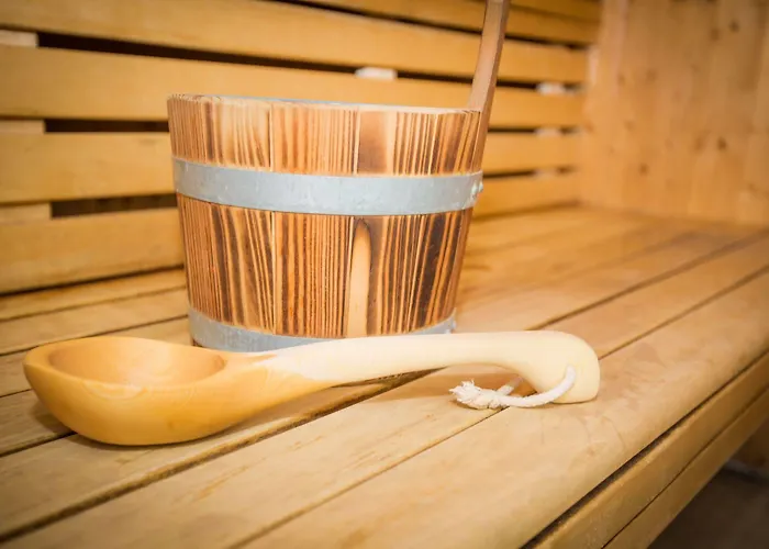 O - Sancy De Tourisme Lägenhetshotell 3*